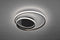 Zibal anthracite ceiling light
